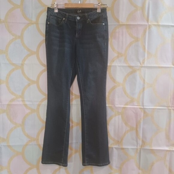 Earl Jeans Womens Bootcut Jeans Size 6 Stretch Denim GUC - Picture 1 of 7